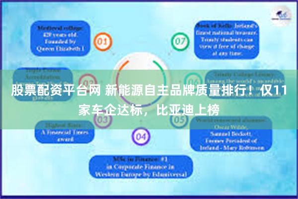 股票配资平台网 新能源自主品牌质量排行！仅11家车企达标，比亚迪上榜