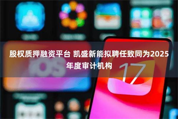 股权质押融资平台 凯盛新能拟聘任致同为2025年度审计机构
