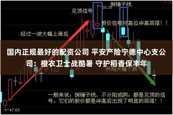 国内正规最好的配资公司 平安产险宁德中心支公司：橙衣卫士战酷暑 守护稻香保丰年