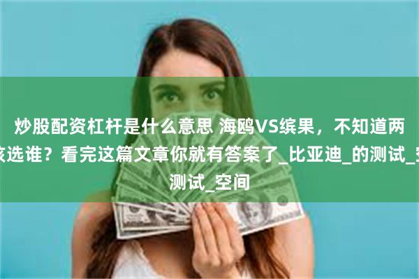 炒股配资杠杆是什么意思 海鸥VS缤果，不知道两车该选谁？看完这篇文章你就有答案了_比亚迪_的测试_空间