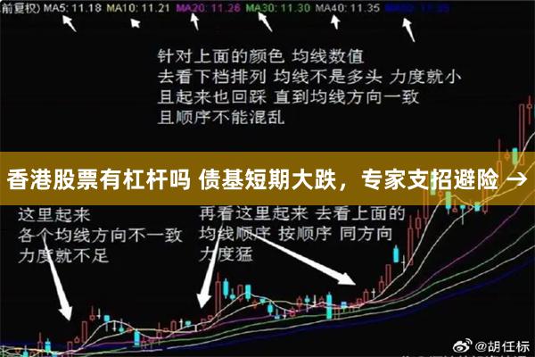 香港股票有杠杆吗 债基短期大跌，专家支招避险 →
