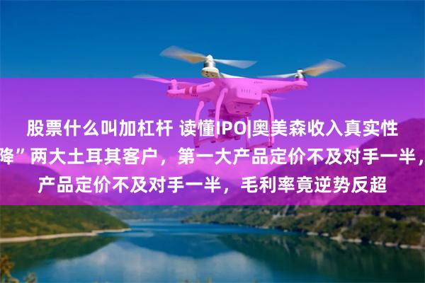 股票什么叫加杠杆 读懂IPO|奥美森收入真实性成疑：2023年“空降”两大土耳其客户，第一大产品定价不及对手一半，毛利率竟逆势反超