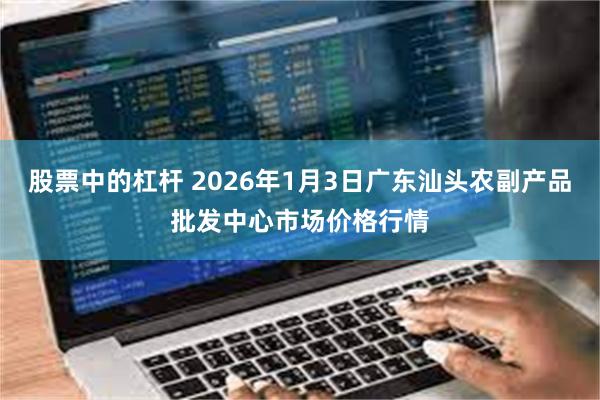 股票中的杠杆 2026年1月3日广东汕头农副产品批发中心市场价格行情