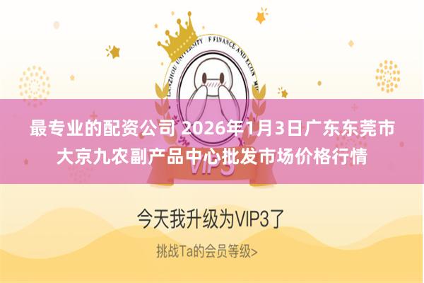 最专业的配资公司 2026年1月3日广东东莞市大京九农副产品中心批发市场价格行情